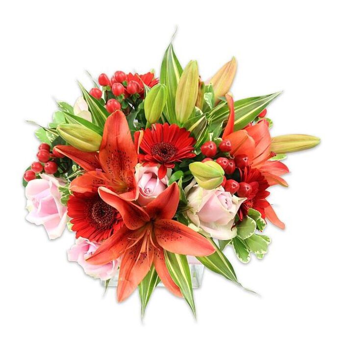 Set against a bright white field, this opulent hand-gathered bouquet presents a warm, layered conversation of colour, texture and scent that a florist in Ruislip Woods might assemble for a neighbour. The visual anchor is a cluster of striking orange-red Asiatic lilies, their broad petals gently recurved and dusted with tiny speckles that add depth; several unopened buds give a sense of time and future bloom. Around them, saturated red Gerbera daisies introduce a lively, almost graphic element with their multiple slender petals and darker central disks, while soft blush-pink roses nestle between the bolder flowers, their layered petals offering romantic softness. Shining red hypericum berries are woven through the stems, providing small jewel-like accents and a pleasing, rounded texture against the floral faces. An abundant selection of foliage - glossy broad leaves, variegated sprigs with pale streaks and narrow, pointed lily leaves - frames the arrangement and creates the full, rounded silhouette visible from above. The bouquet's surfaces register as smooth, papery and waxy; the scent, imagined from the image, would be sweet with a faint spicy lift from the lilies. The overall mood is warm and celebratory yet intimate, suited to anniversary surprises, autumnal gatherings or simply brightening a flat near Ruislip Lido. The composition reads as expertly arranged, suggesting steady hands and local knowledge of seasonal blooms and textures familiar to anyone shopping on Ruislip High Street.
